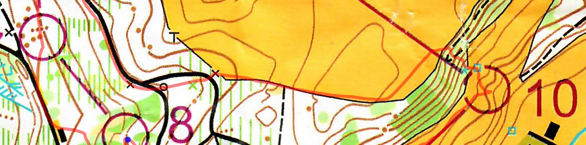 49. Oberthurgauer OL (19.10.2025)